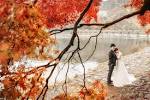 wedding9_20160125