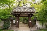 DSC00353-s