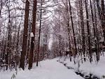 IMG_20140107_152502