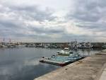 IMG_3677 (1)