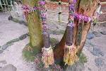 thumb_IMG_5859_1024