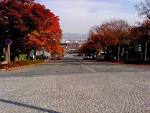 Hokkaido travel_11
