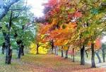 IMG_20131106_145438