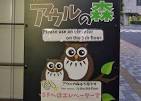 owl-no-mori-0708-1 (3)