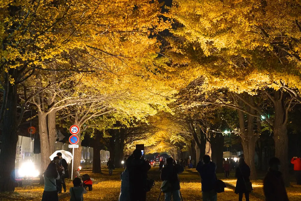 15756704405_b99f5cd3b8_b