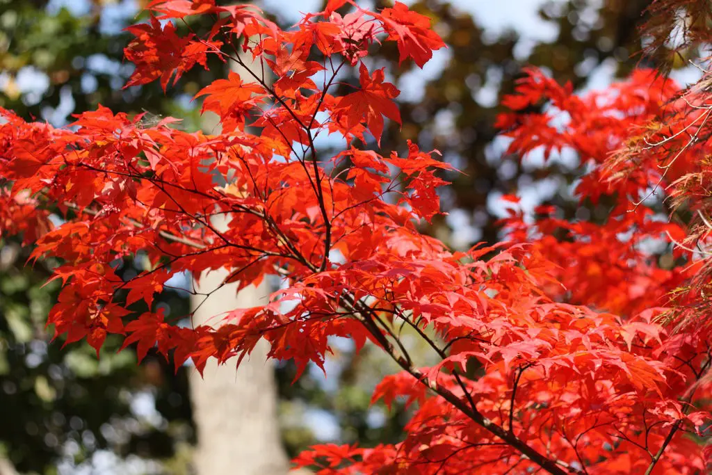 4019390728_b8c058336e_b