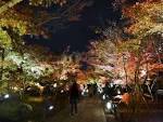京都红叶10