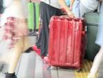 孝親旅10