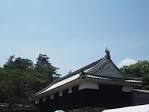 matcha kochi1