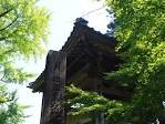 matcha kochi4
