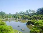 yanagawamatcha14