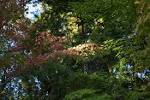 th_20141015-IMG_0170