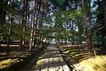 th_20141015-IMG_01851