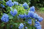 20150613-DSC03110