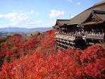 th_kiyomizudera5