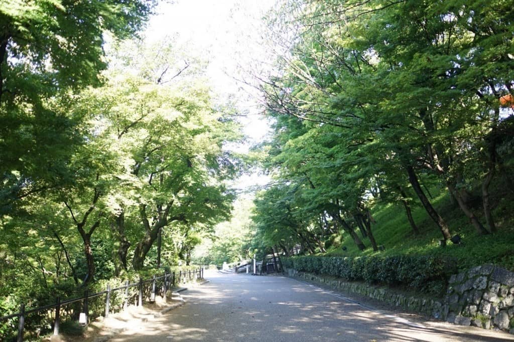 kyoto_kiyomizudera_20151012p-1024x682