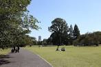 shinjukugyoen_igirisushikiteien_20151015