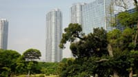 article_thumbnail_546