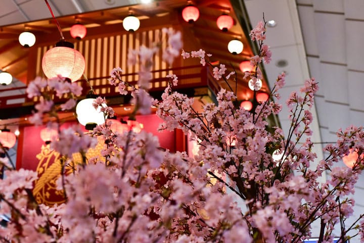 春櫻佔據羽田機場 紅眼班機過夜不無聊