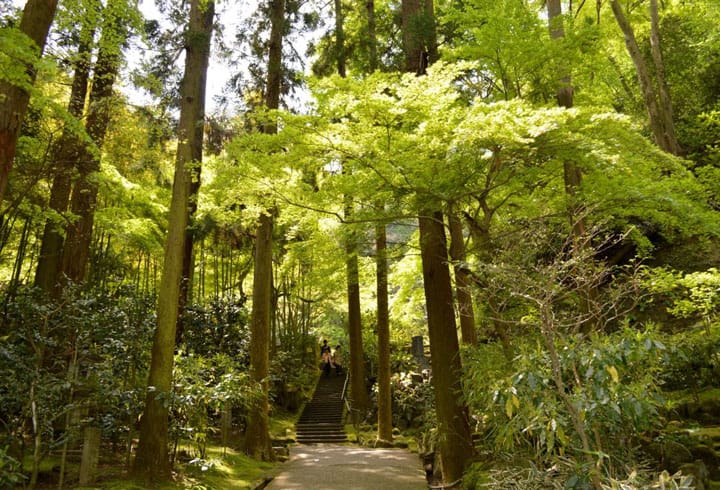 【KAMAKURA】江戸時代は“縁切寺”だった「東慶寺」は恋や婚活に迷ったら訪れたいパワースポット!