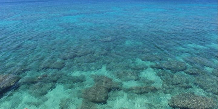可以從那霸當日往返!保存著沖繩古早風情的「久高島」