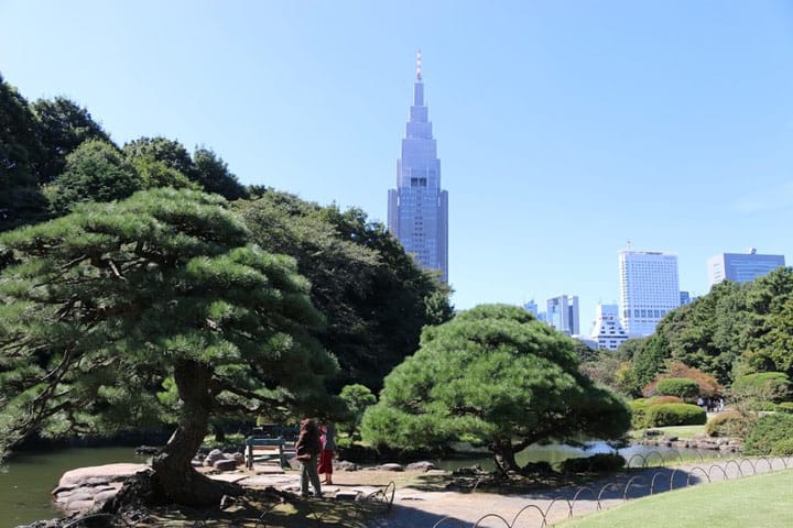 3 Ways To Get To Shinjuku Gyoen Matcha Japan Travel Web Magazine