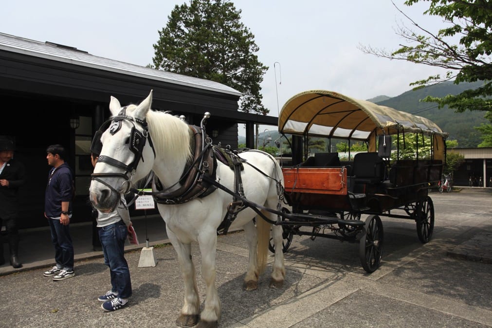 湯布院的出租觀光馬車 Matcha 日本線上旅遊觀光雜誌