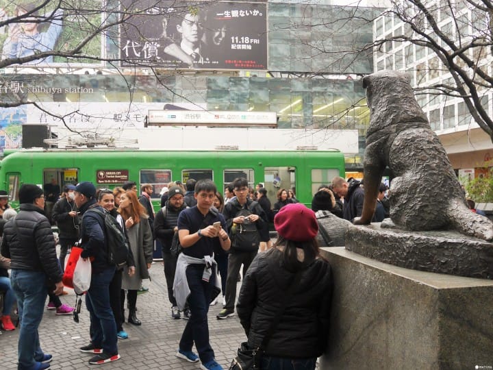 不再澀谷車站鬼打牆!澀谷轉乘路線總整理