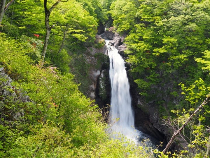 仙台