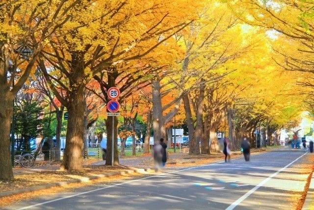 日本へ観光するなら必見! 北海道の気温と服装について