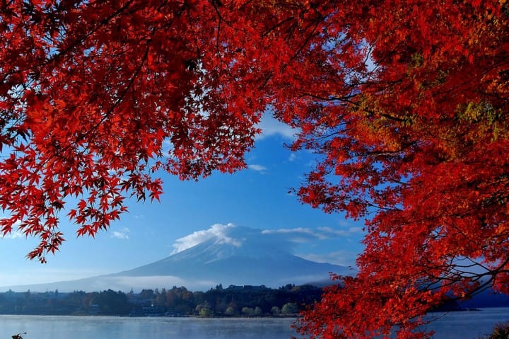 【下書】富士山が見られる場所