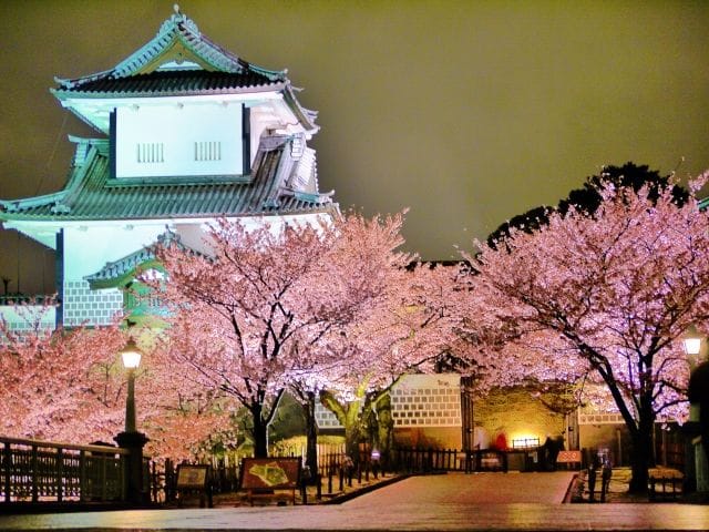 歴史ある街石川県・金沢市で桜を堪能しよう。金沢の桜スポットまとめ