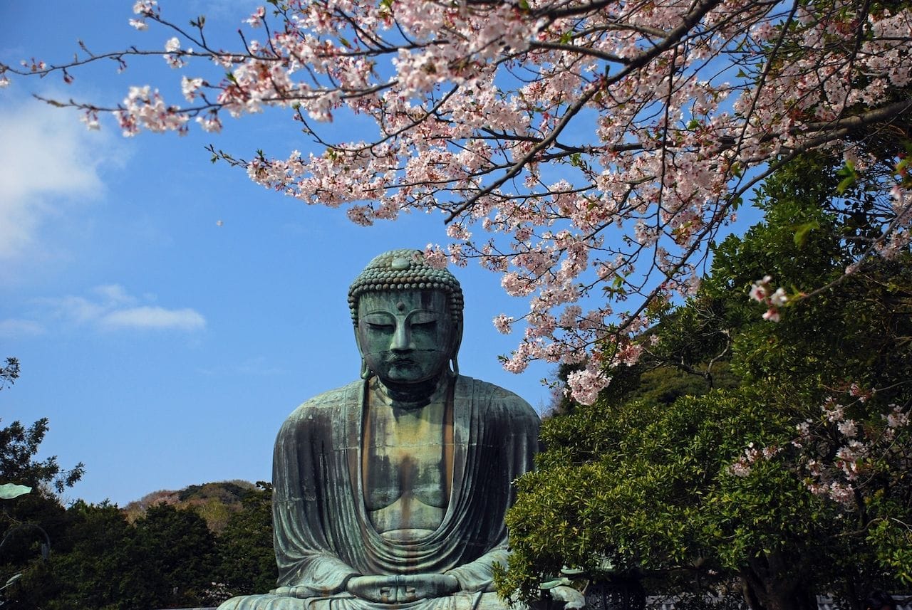 鎌倉・桜の花見