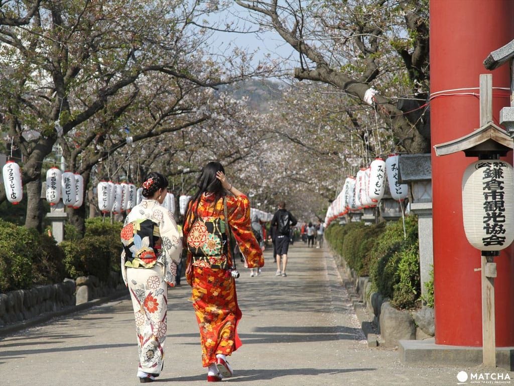 【基礎記事】鎌倉・桜の花見