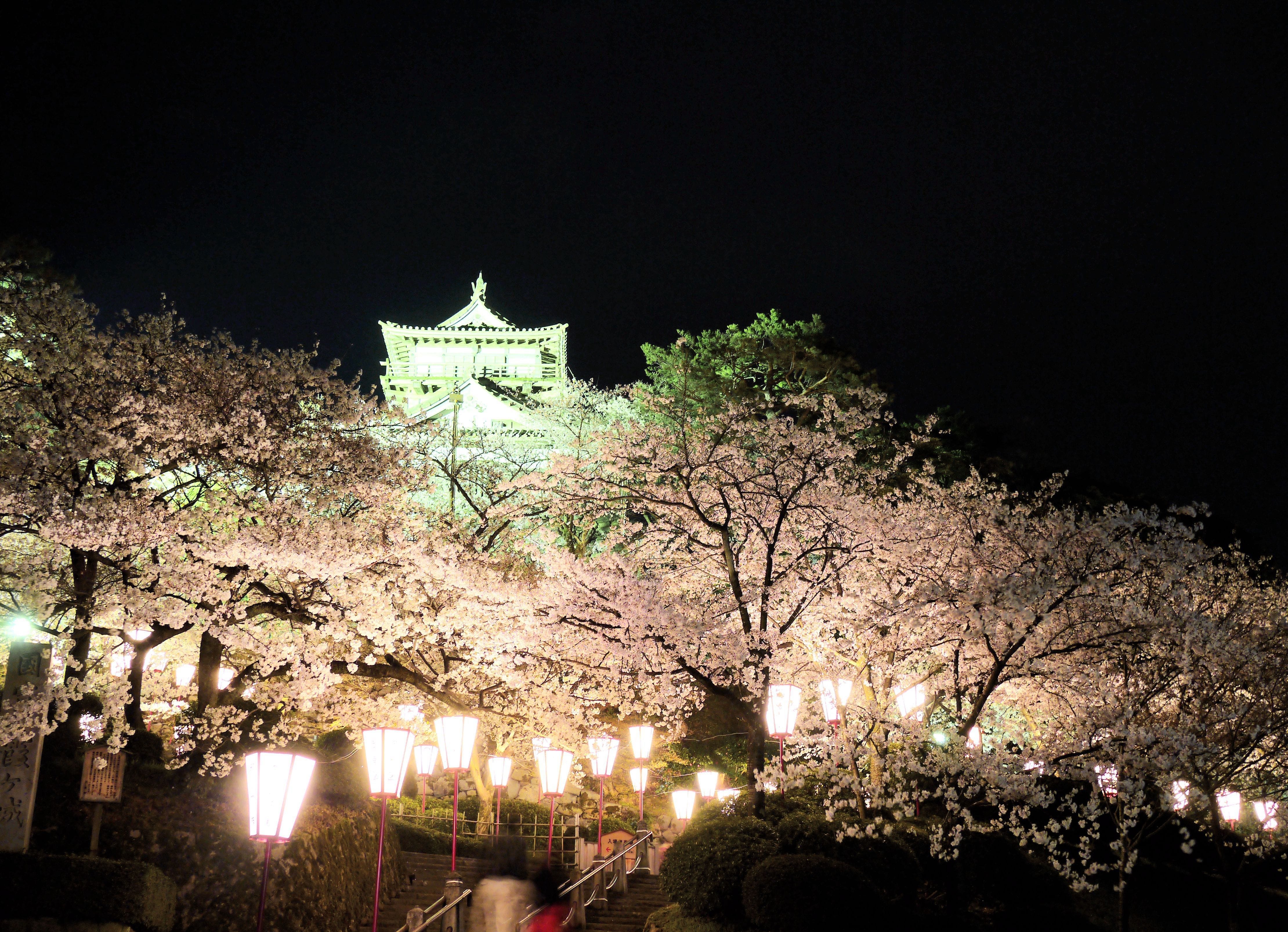 北陸北陸北陸