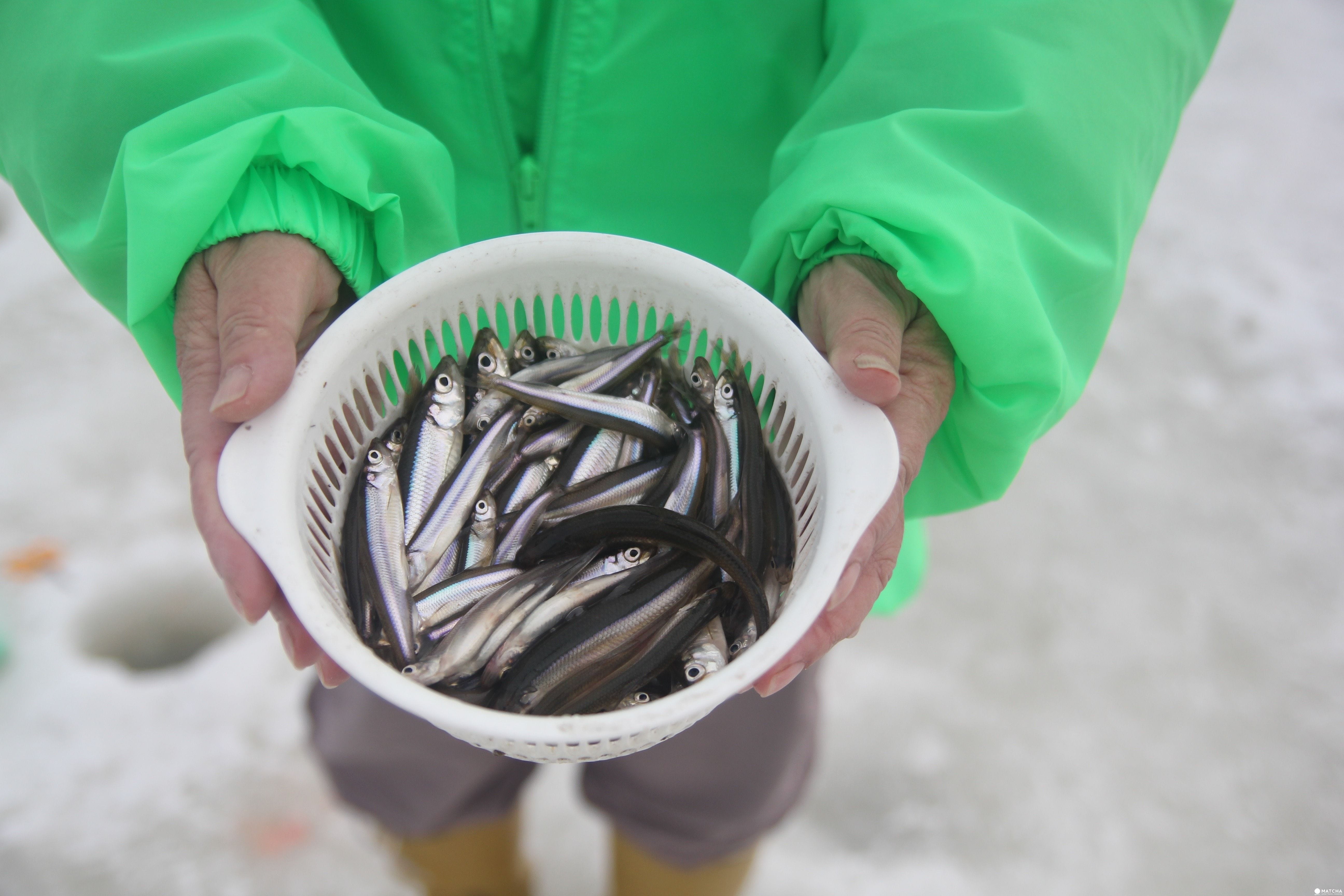 「北海道 石狩」體驗北海道在地人的冬季消遣娛樂：冰上釣魚！釣多少、吃多少唷～