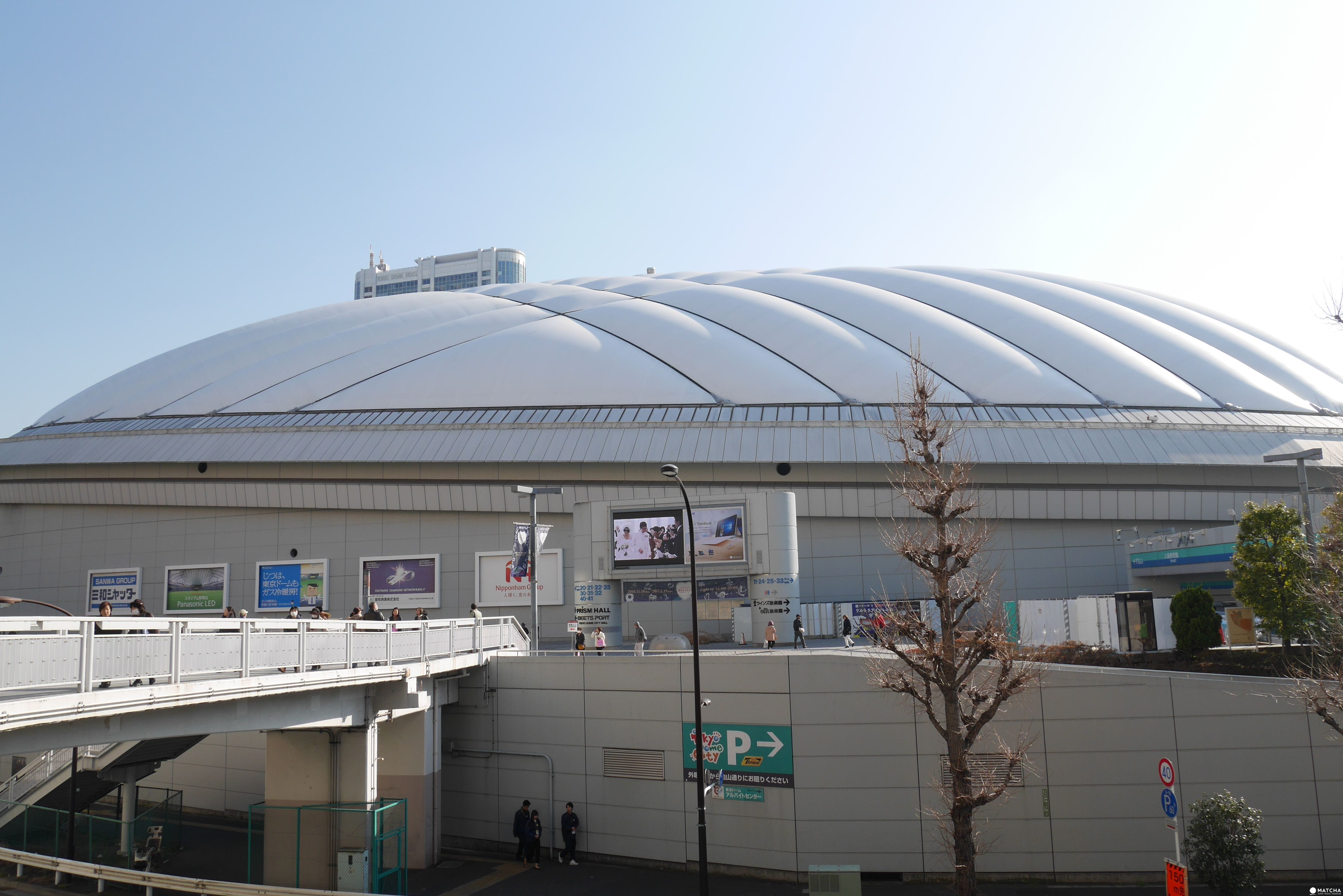 走!一起去東京巨蛋看陽岱鋼!