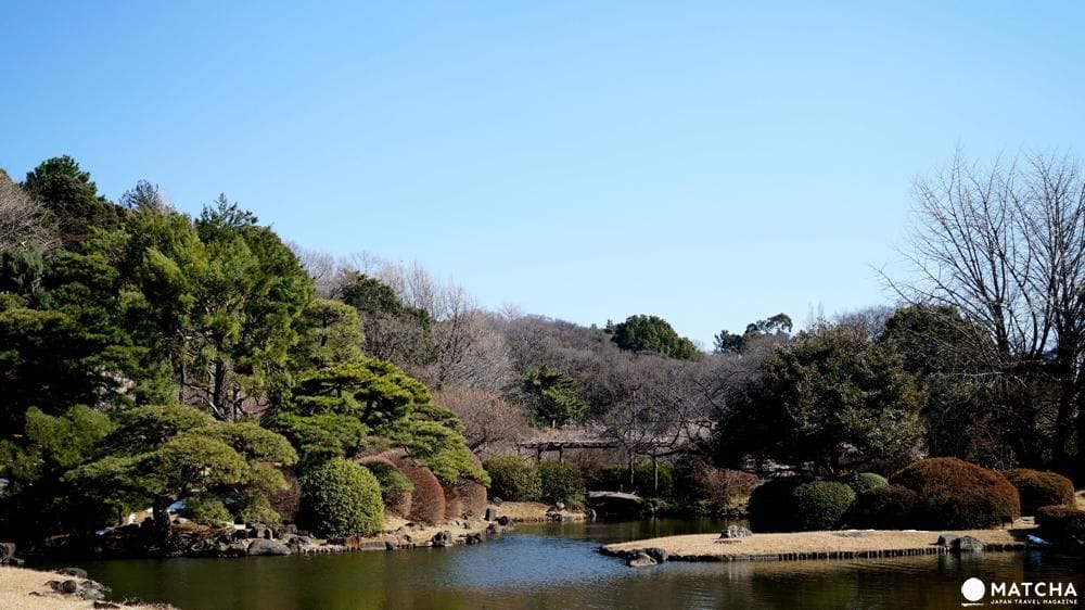 走!一起去東京巨蛋看陽岱鋼!