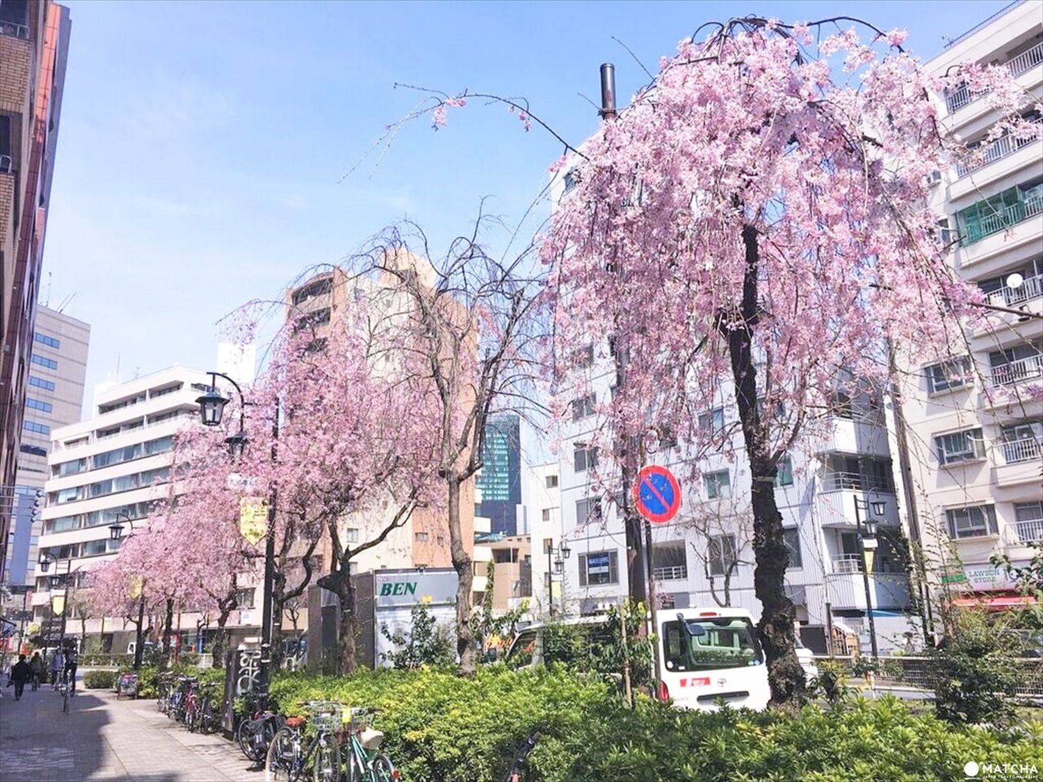 【下書き】東京都心のあまり混んでいない穴場な桜スポット5選