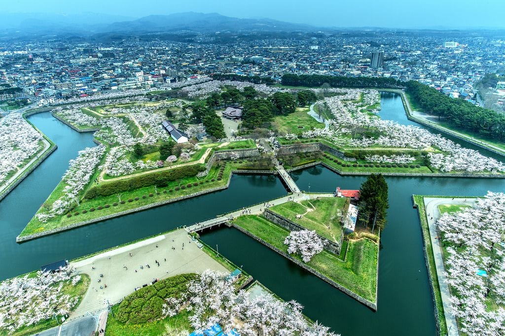 錯過三月櫻花季！晚開北海道櫻花5選