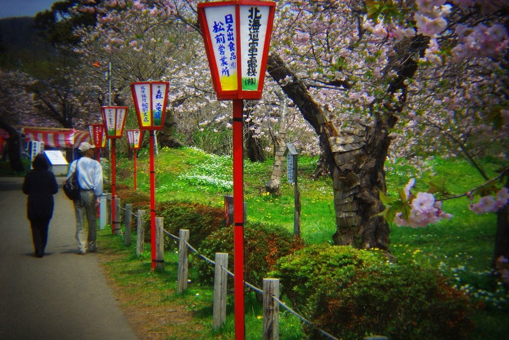 【北海道】錯過3月不要緊!來北海道追晚櫻人氣景點5選 錯過三月櫻花季!晚開北海道櫻花5選