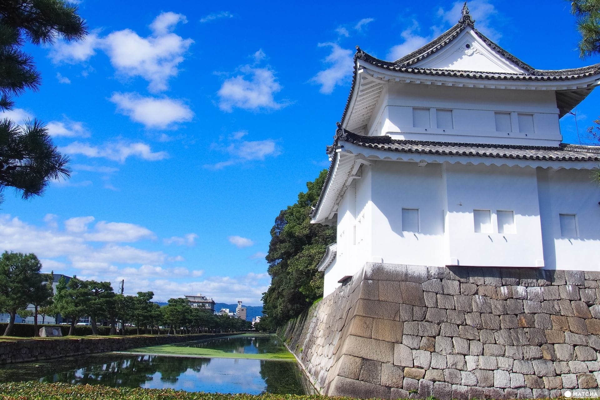 【京都】向西前行！搭上101號洛巴士將五百塊一日券用到極致