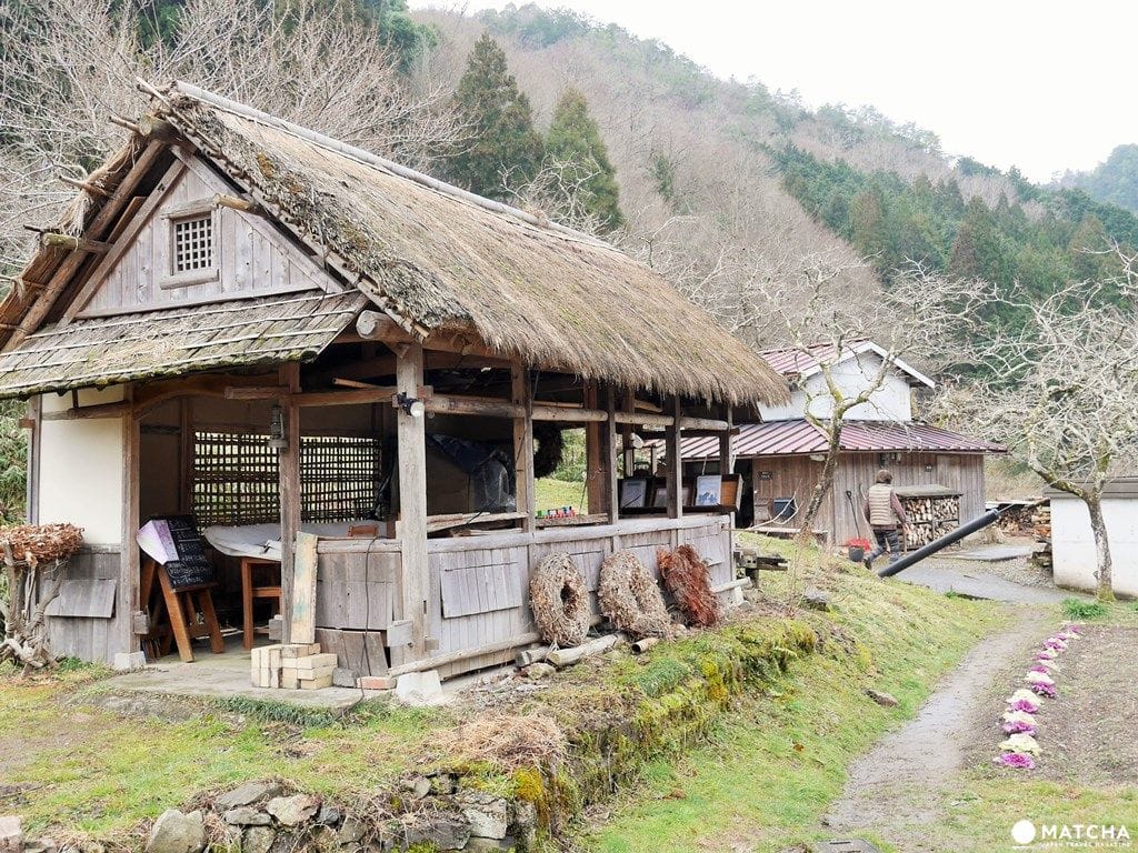 【篠山體驗】手作800年丹波燒,入住150年古民家,篠山窯元巷弄腳踏車之旅