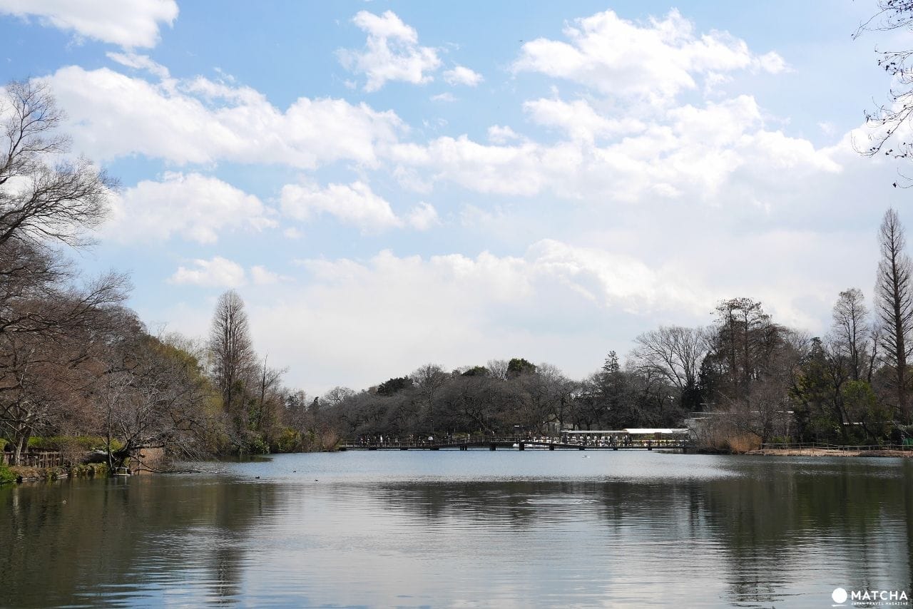 吉祥寺井之頭公園