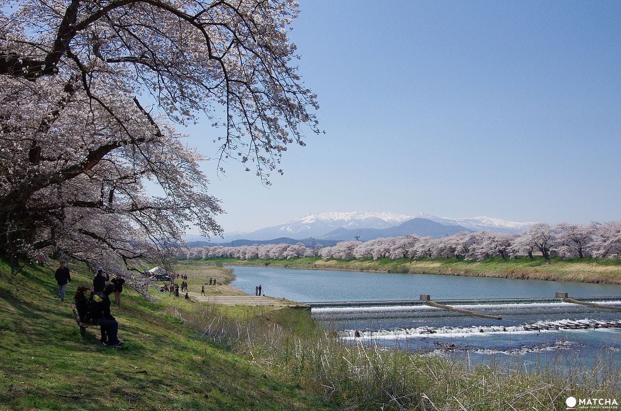 一目千本桜