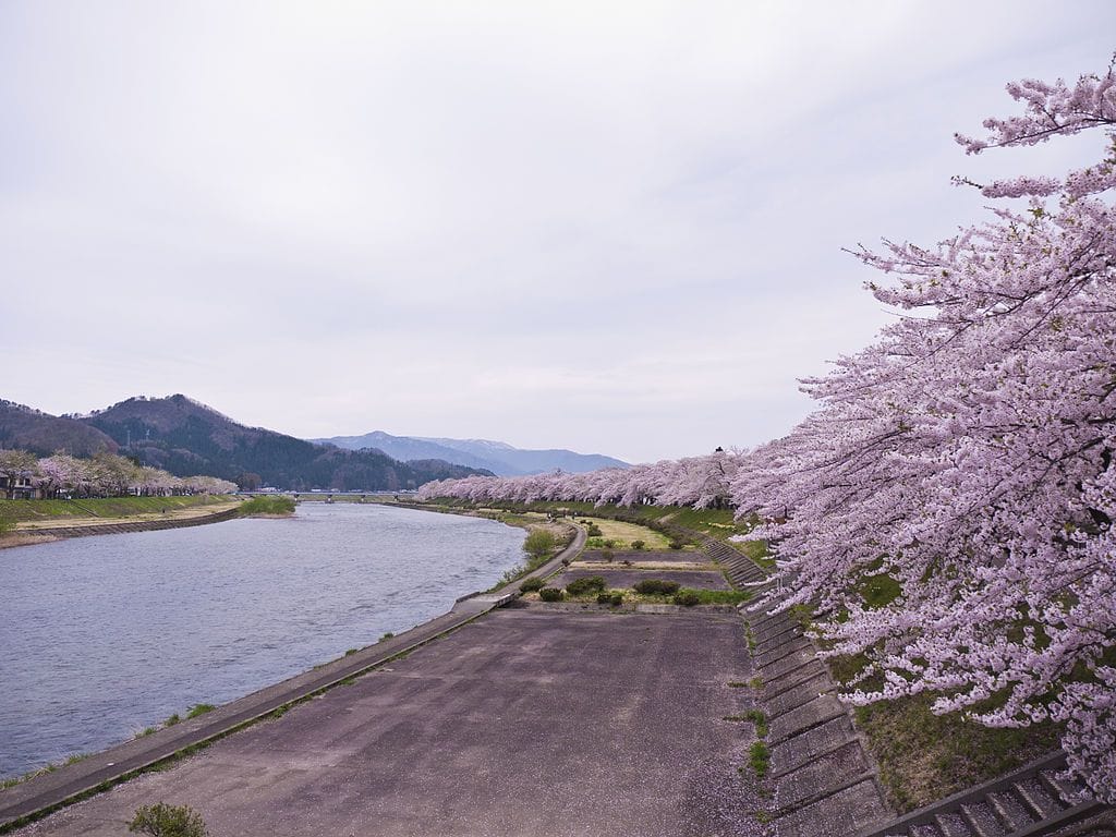 櫻花季才正要開始呢！東北六縣最佳賞櫻地點