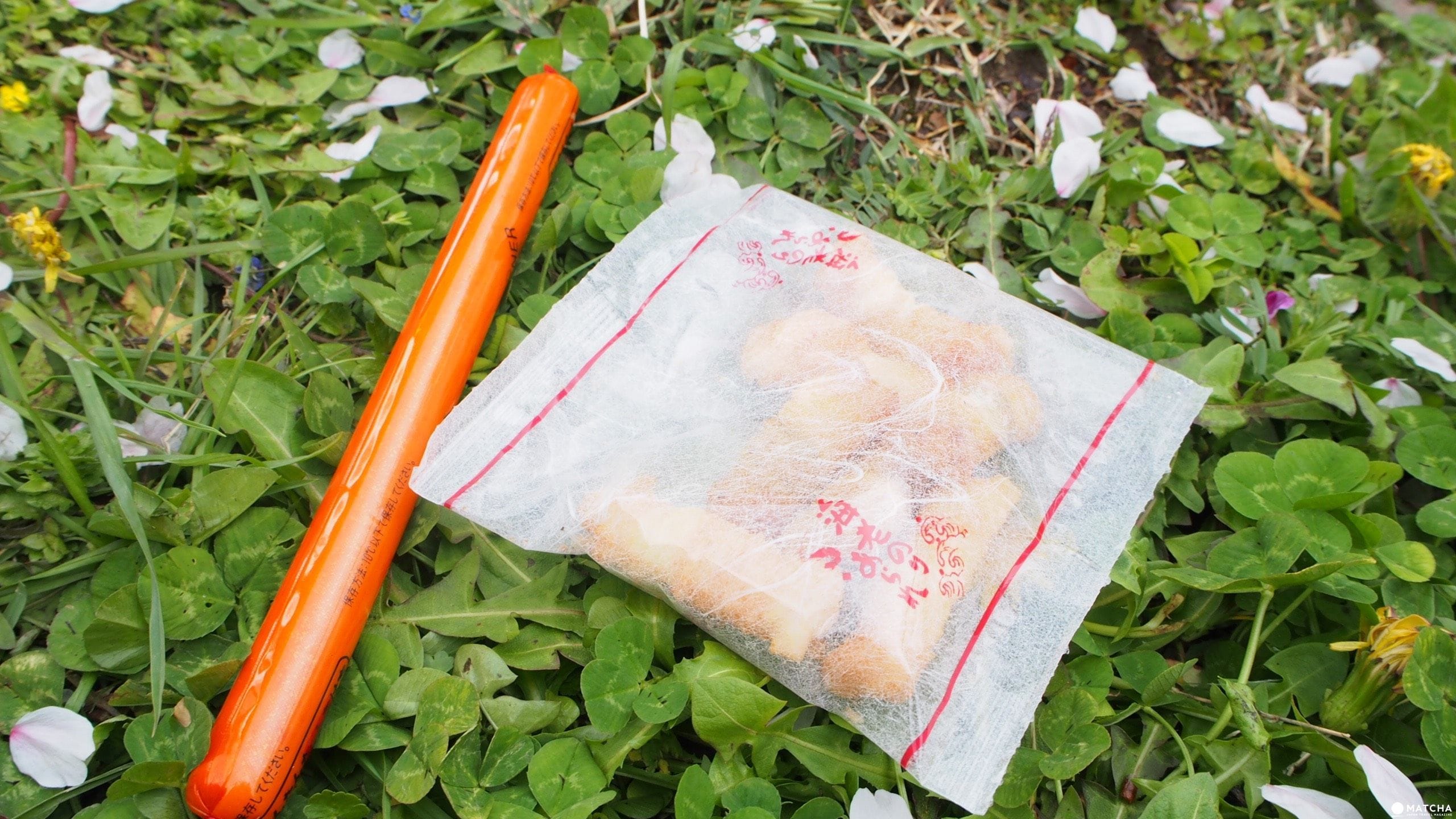 京都八幡市 賞櫻 告白的最佳地點淀川河川公園背割堤