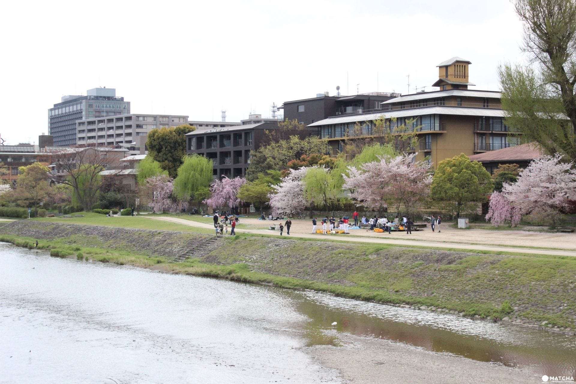 【京都】賞櫻旺季時最快的移動方式!地鐵東西線賞櫻篇 【京都】旺季時最快的移動方式!京都市地下鐵景點介紹——東西線賞櫻篇