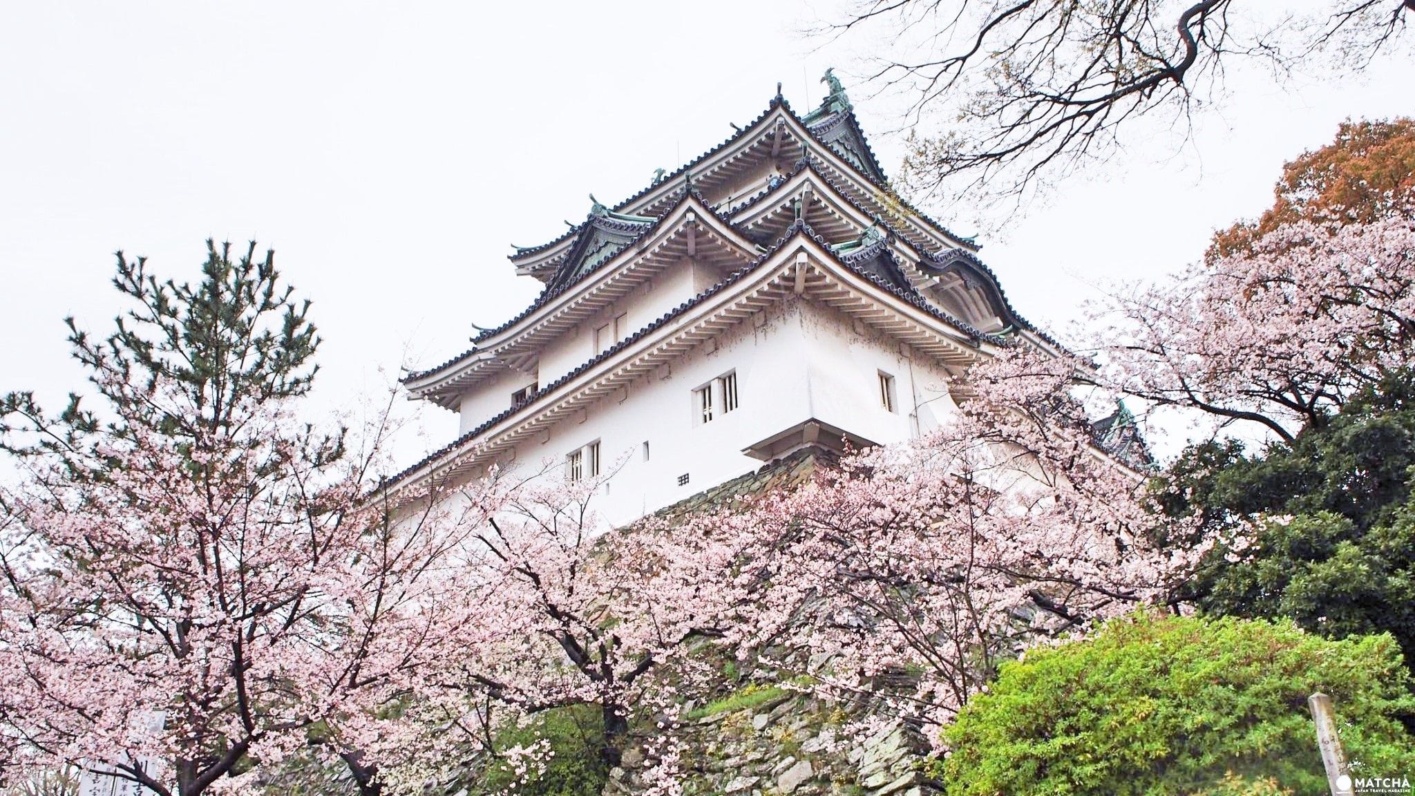 【和歌山】 關西旅遊新選擇!和歌山賞櫻!賞城!賞喵星人! 【和歌山】 賞櫻!賞城!賞喵星人!
