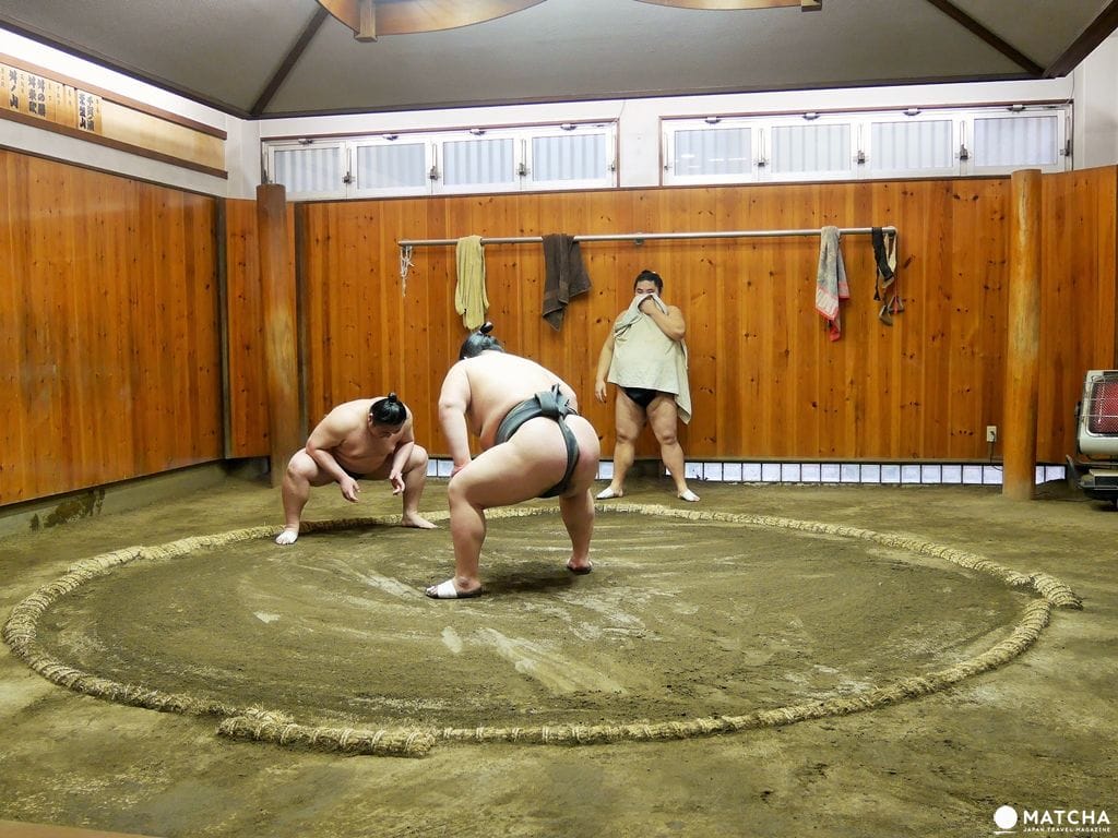 『東京新體驗』近距離感受肉貼肉的激烈碰撞,相撲晨練體驗
